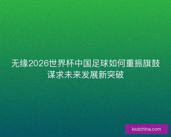 无缘2026世界杯中国足球如何重振旗鼓谋求未来发展新突破