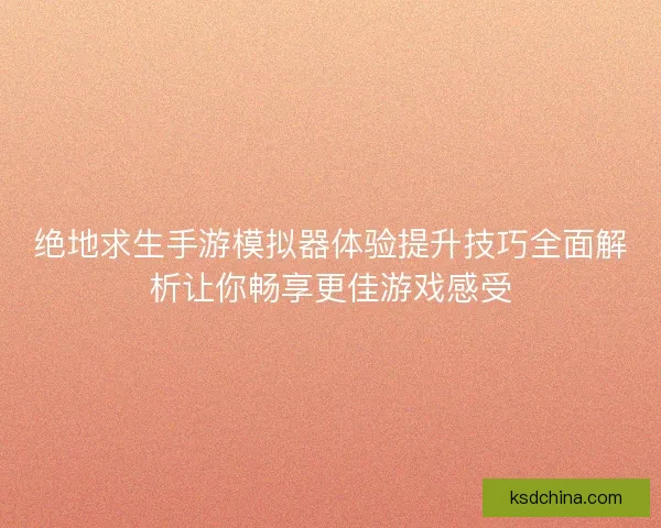 绝地求生手游模拟器体验提升技巧全面解析让你畅享更佳游戏感受